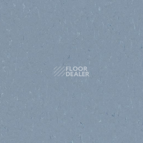 Линолеум Forbo Marmoleum Solid Piano 3642-364235 periwinkle фото 1 | FLOORDEALER